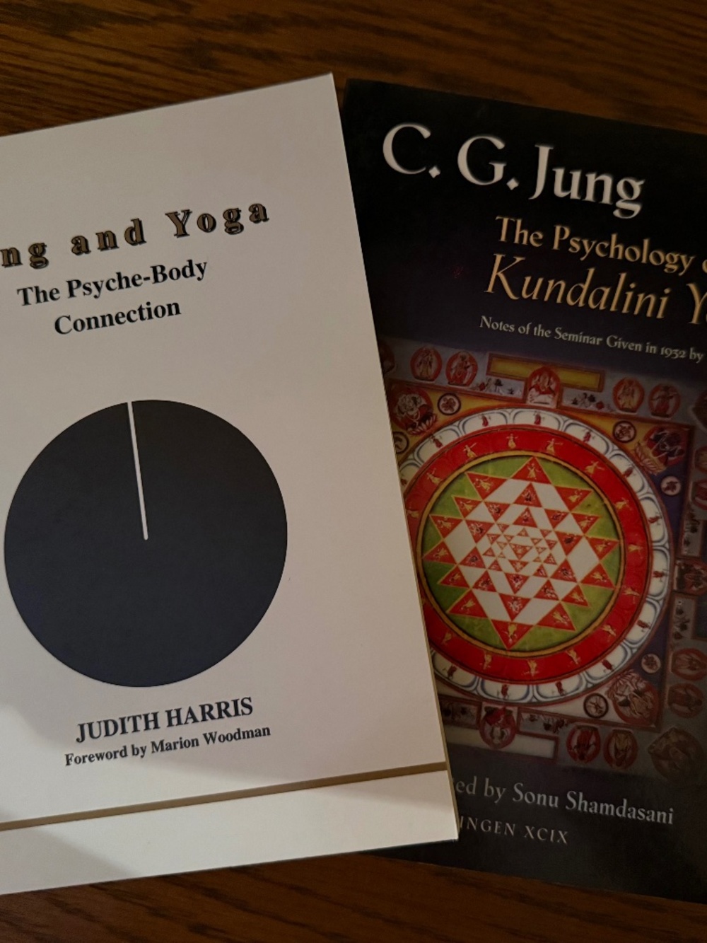 📖🌀 Psyche, Body & Yoga Through a Jungian Lens Set of 2 🌀📖